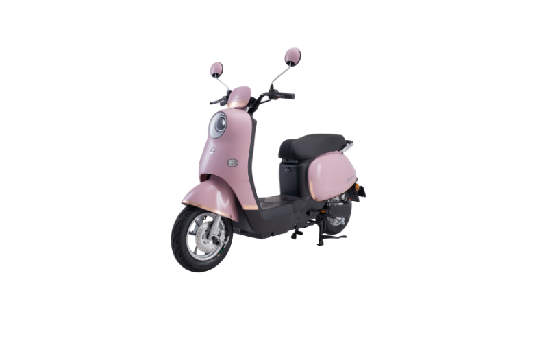 XE MÁY ĐIỆN DIBAO ROSA